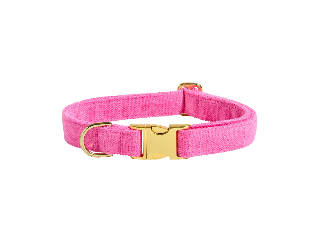 Designer Buckle Collar in Flamingo