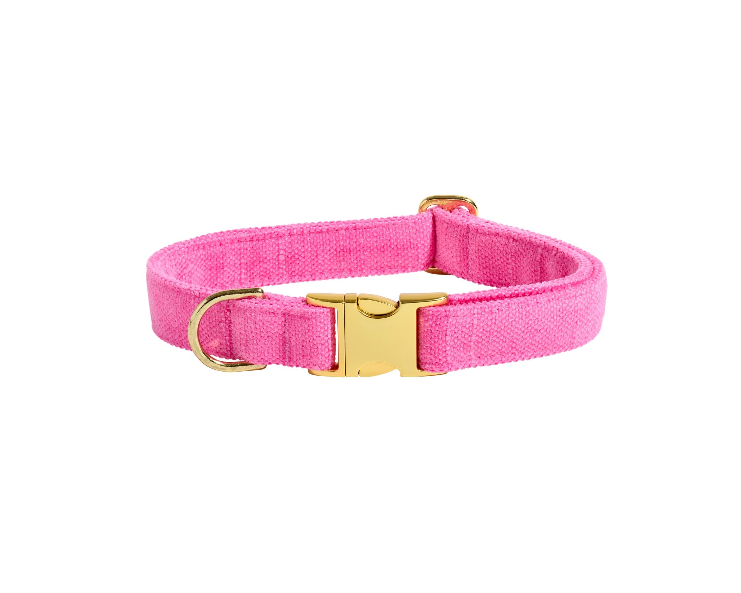 Designer Buckle Collar