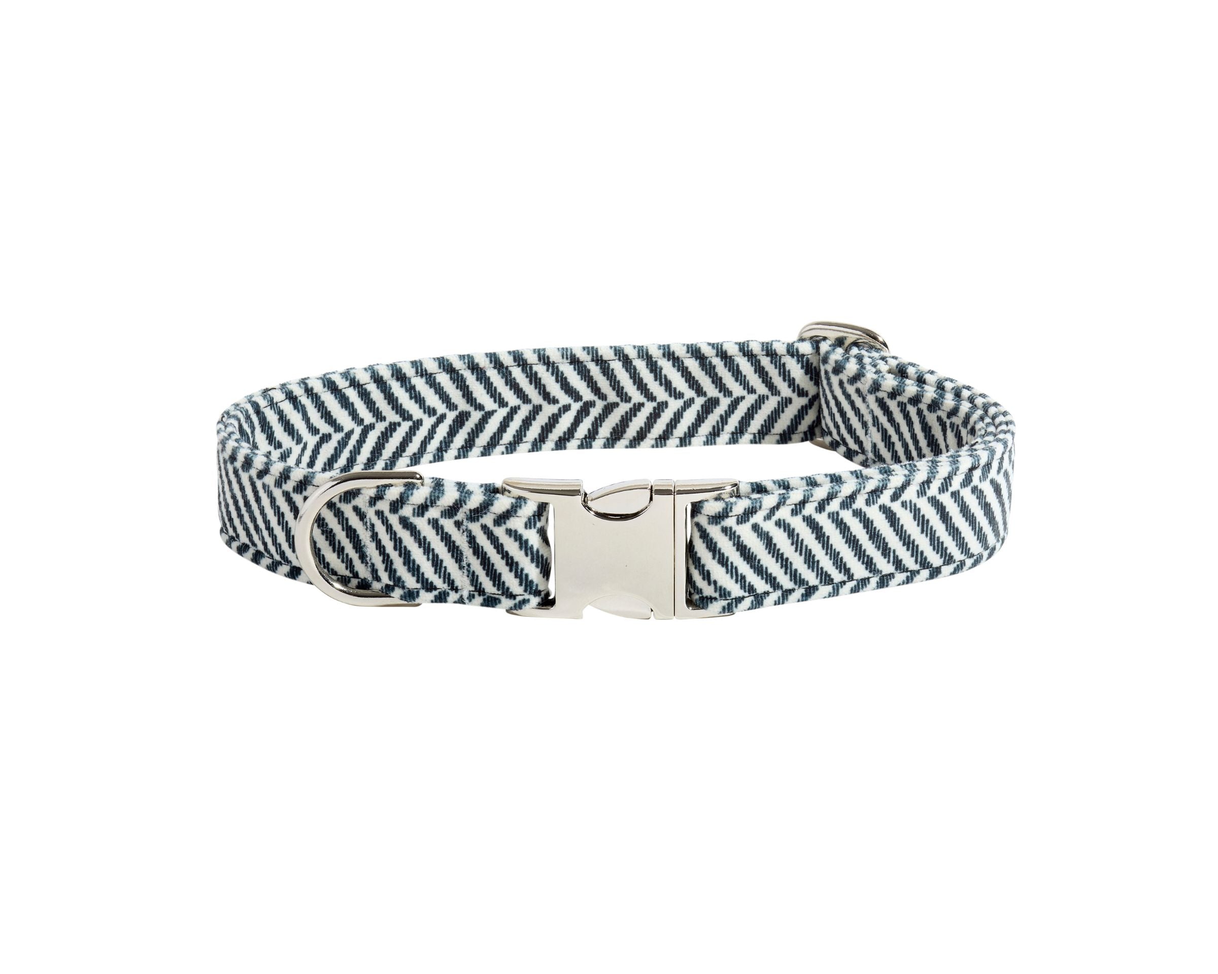Designer Buckle Collar