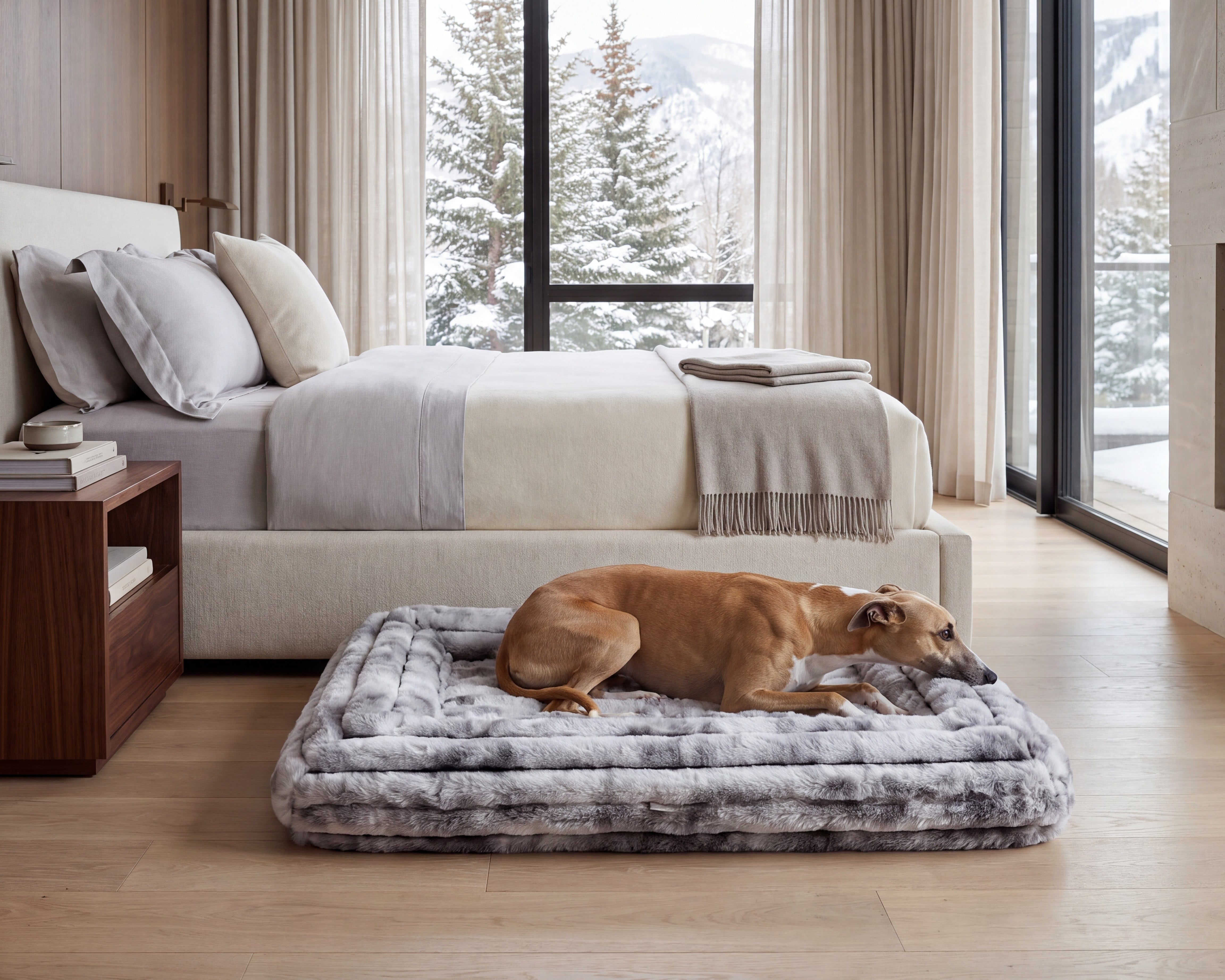 Hugo Futon
