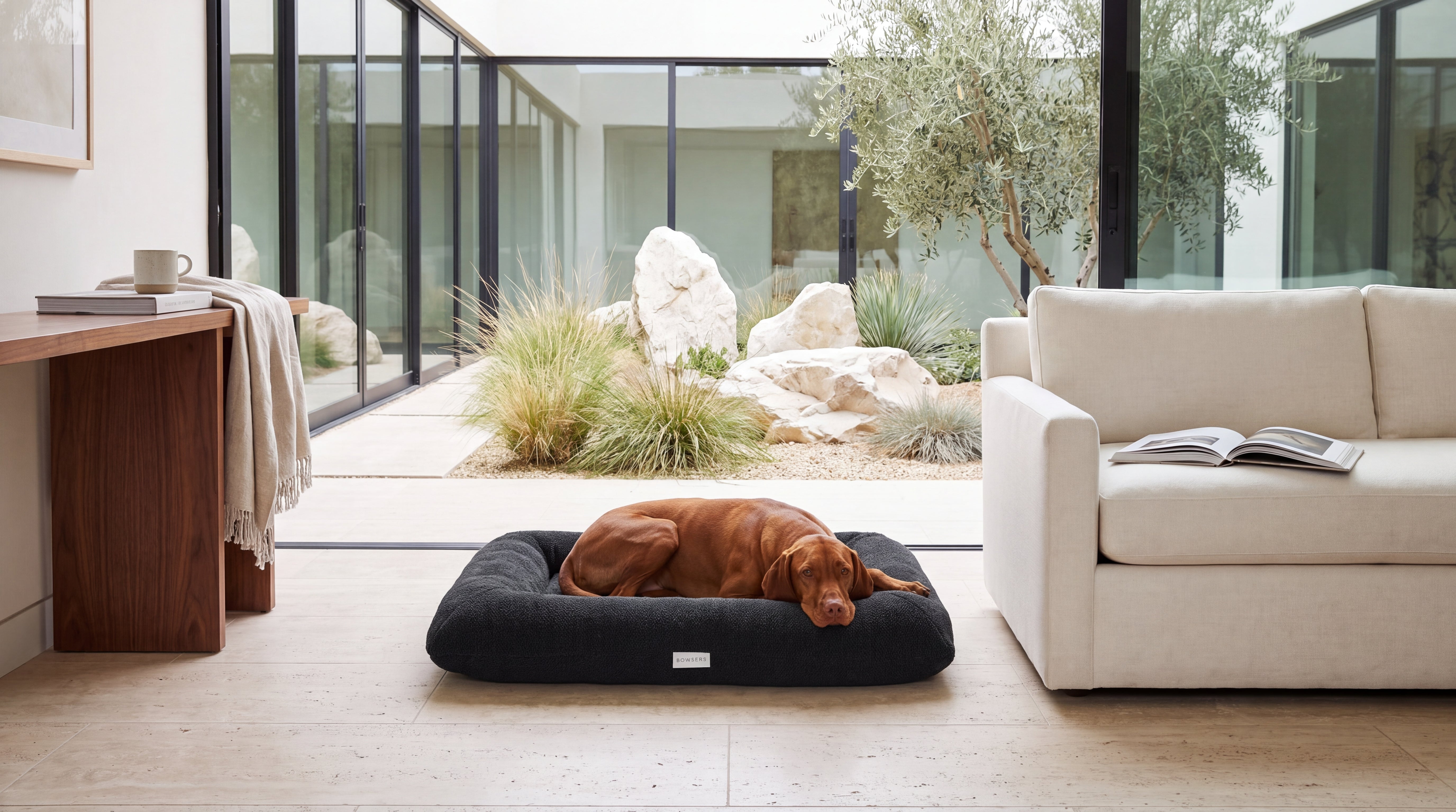 Hugo Futon