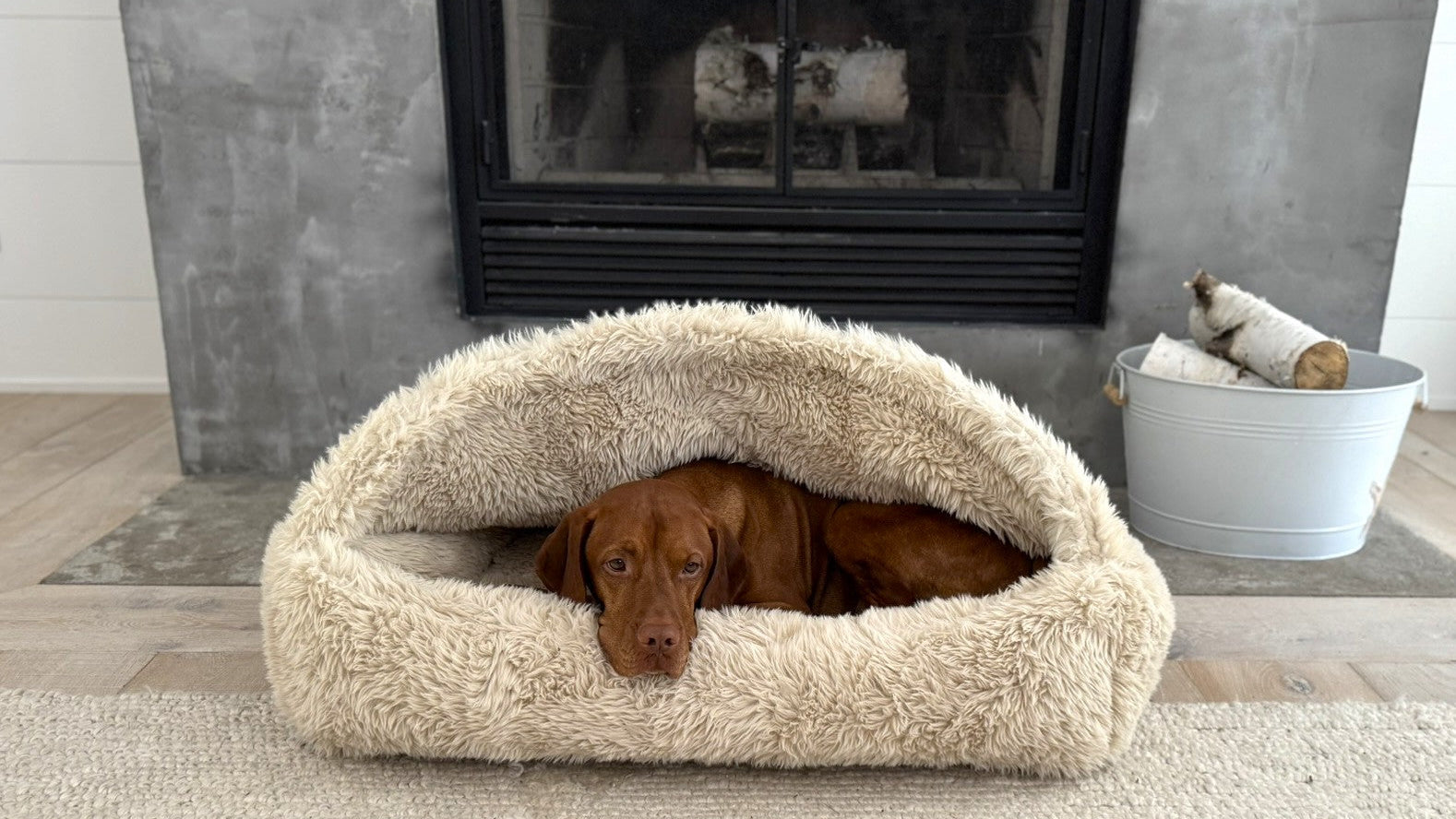 Canopy Cozy
