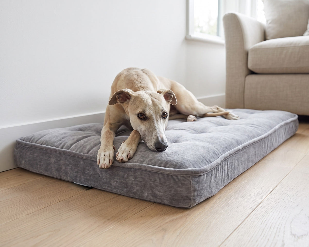 Whippet resting its chin on its paws on the Luxury Crate Mattress in Pumice beside an armchair