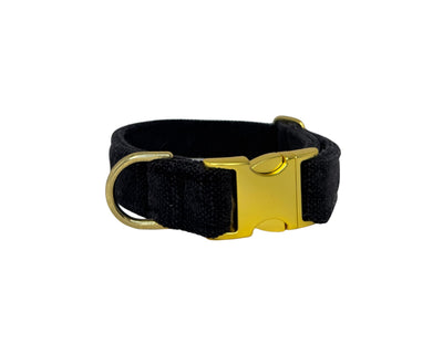 Designer Buckle Collar