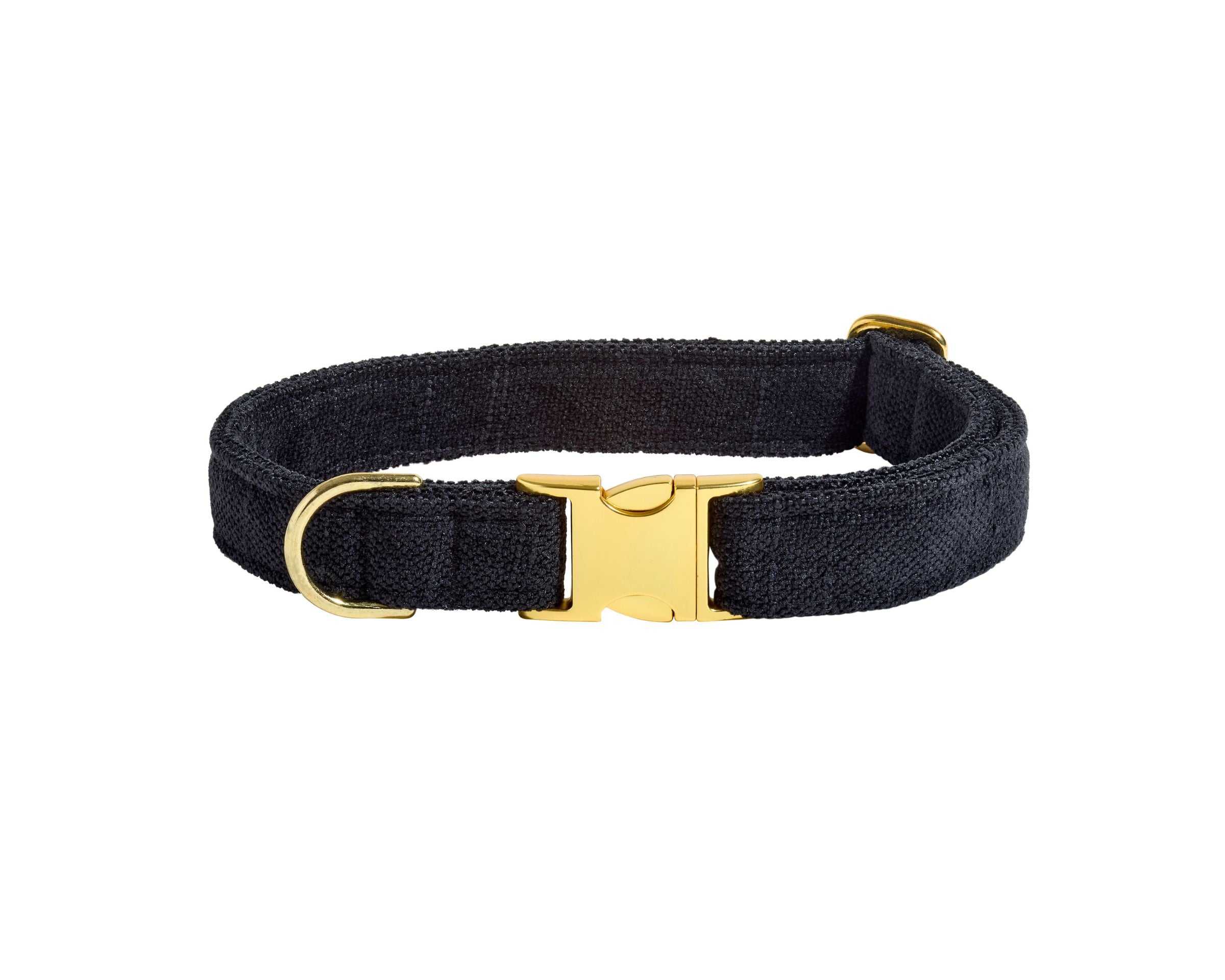 Designer Buckle Collar