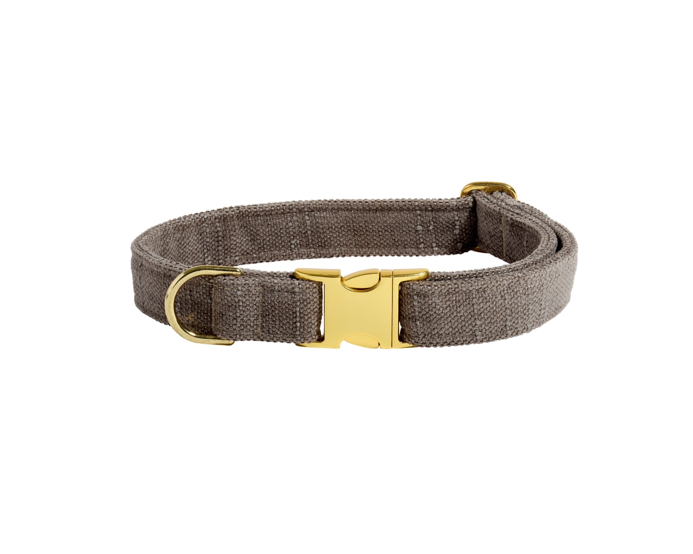 Designer Buckle Collar