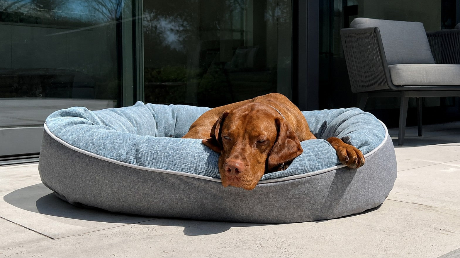 Ovie Bed