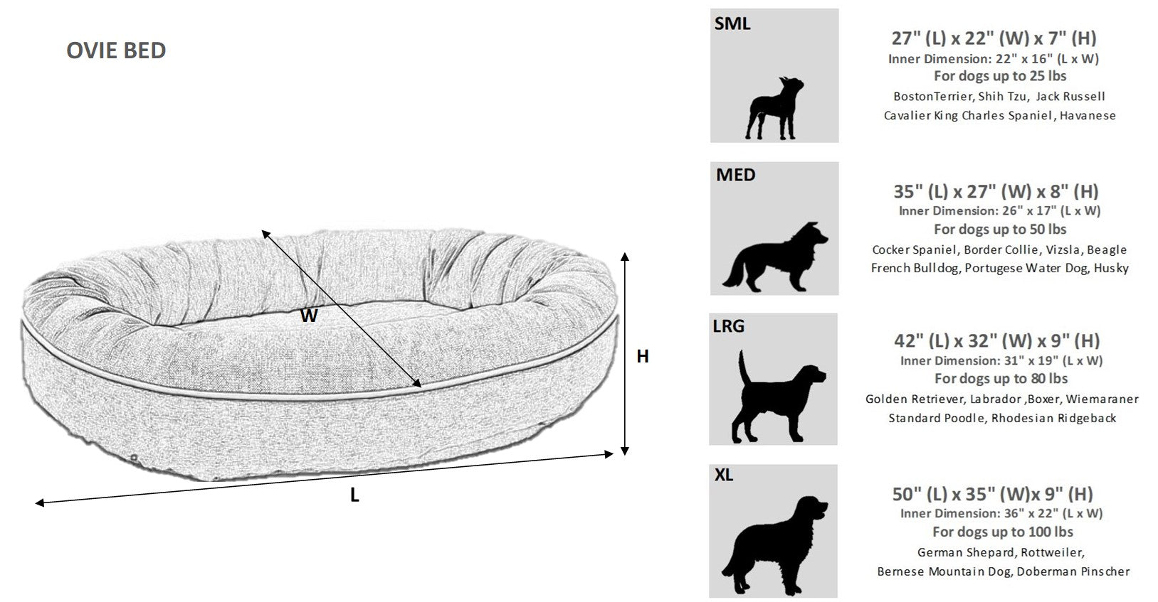 Size Chart Image