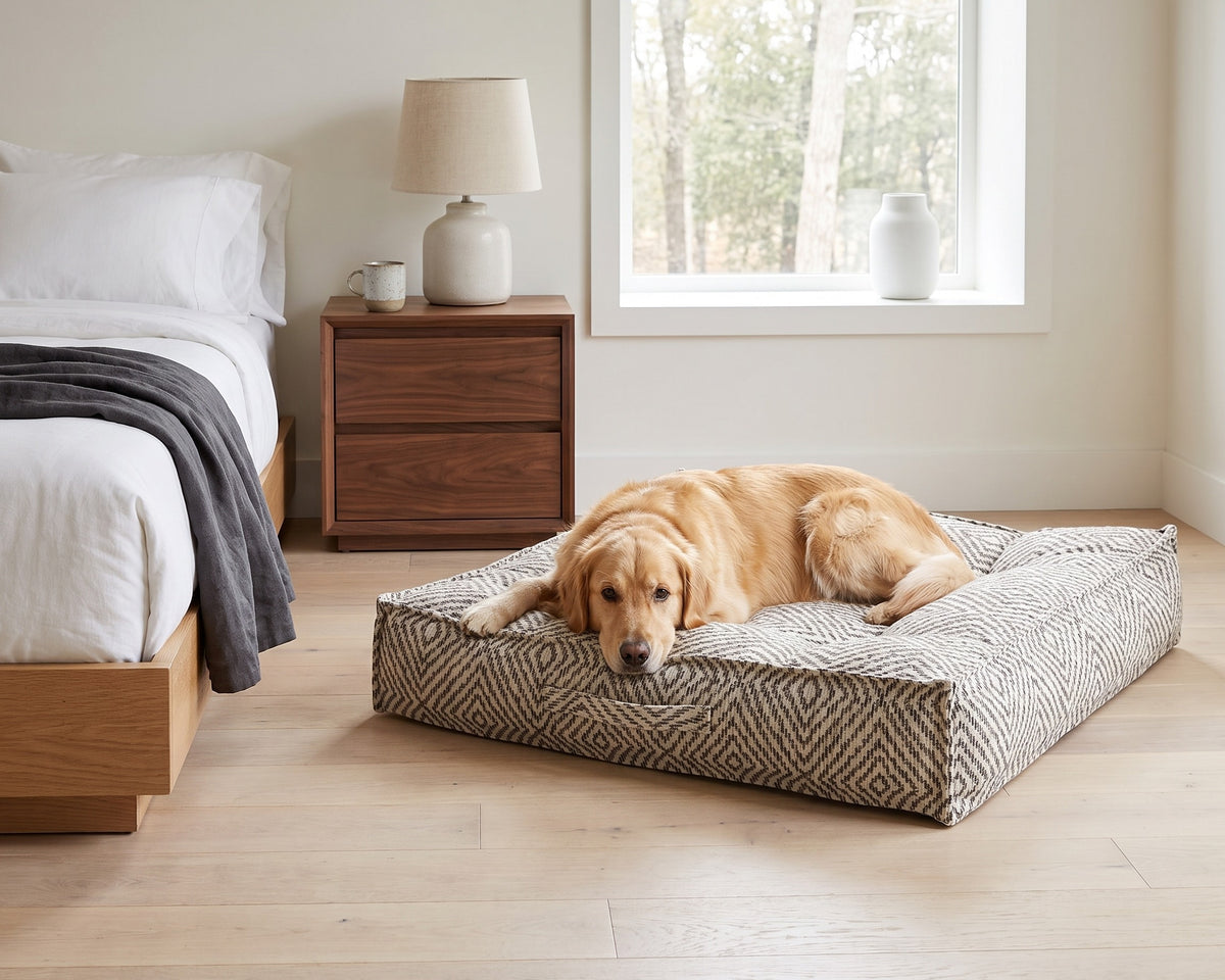 Golden retriever resting on a Piazza in Diamondback beside a walnut nightstand in a bright bedroom