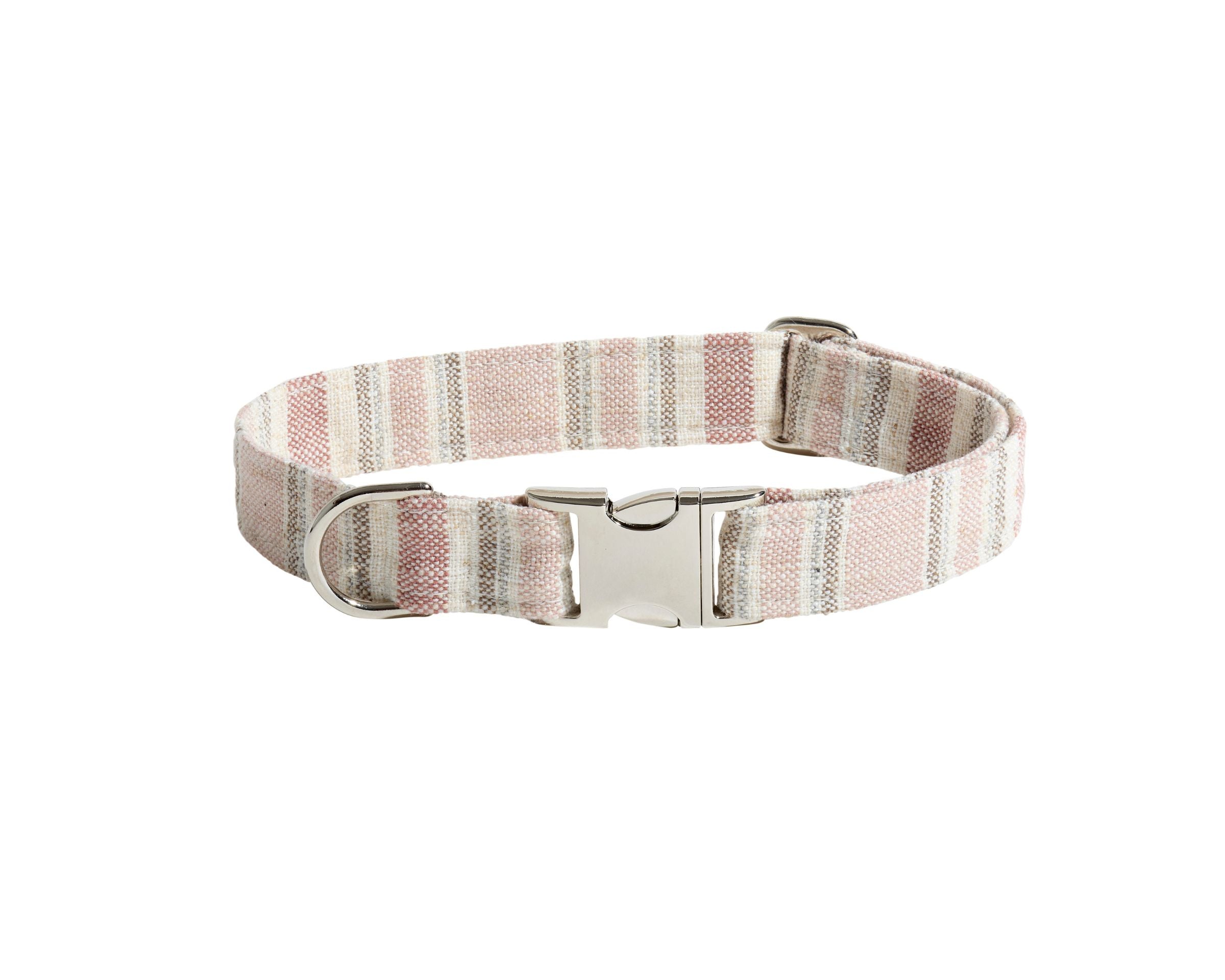Designer Buckle Collar