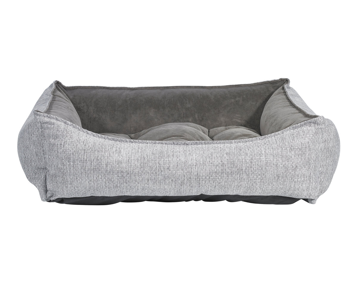 Scoop in Allumina