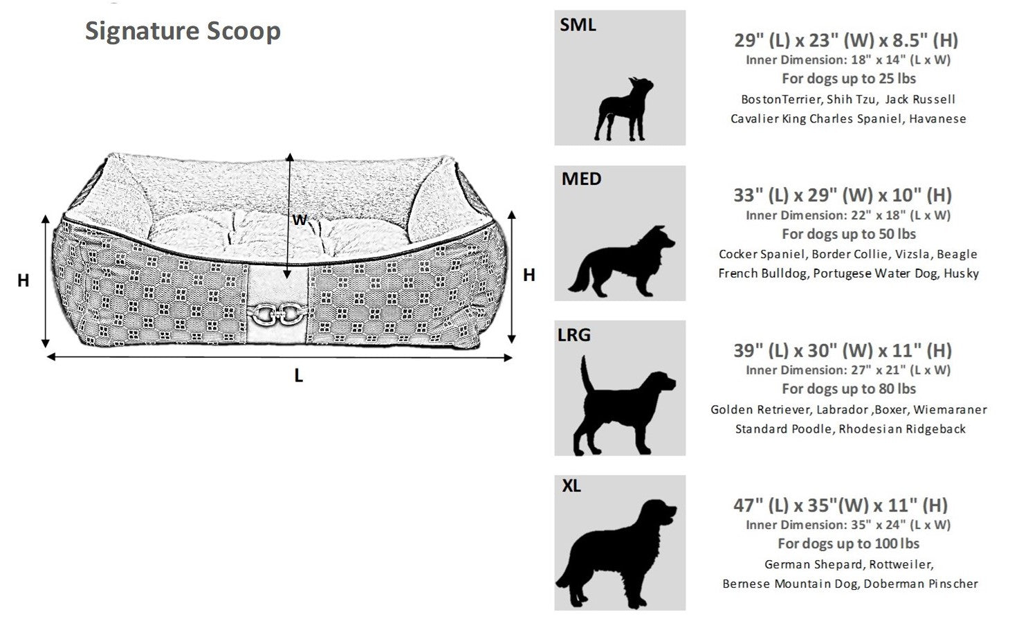 Size Chart Image