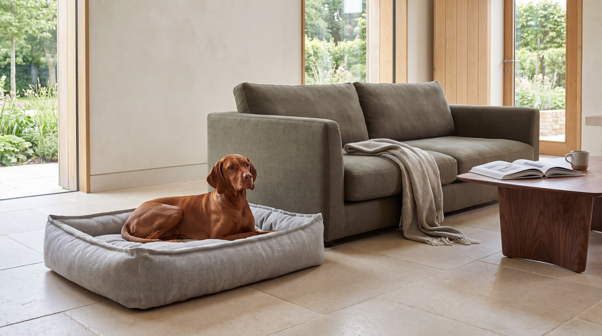 Sterling Lounge Bed