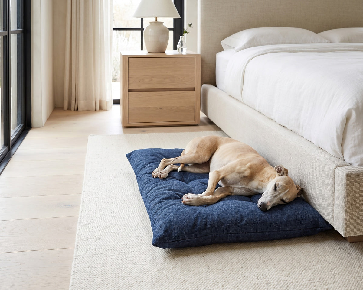 Whippet asleep on a True Navy Tufted Cushion beside the bed in a modern bedroom