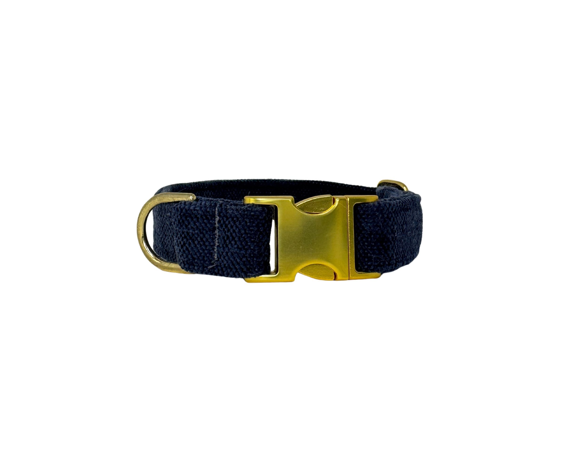 Designer Buckle Collar