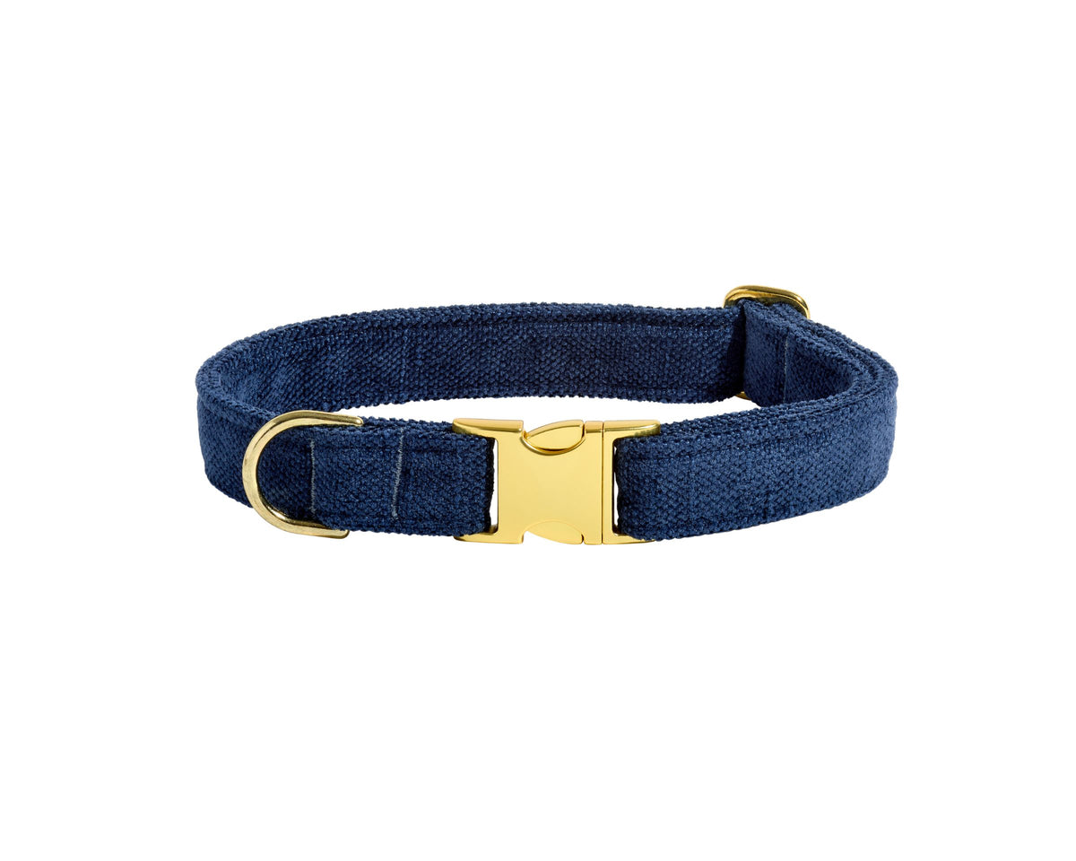 Designer Buckle Collar in True Navy