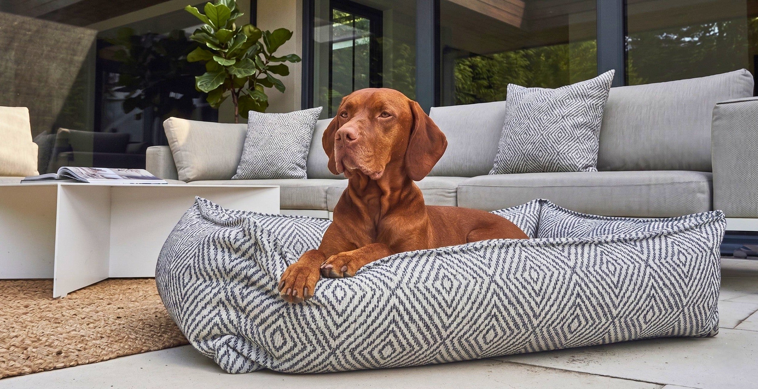 Bowsers Pet Products | Home Page