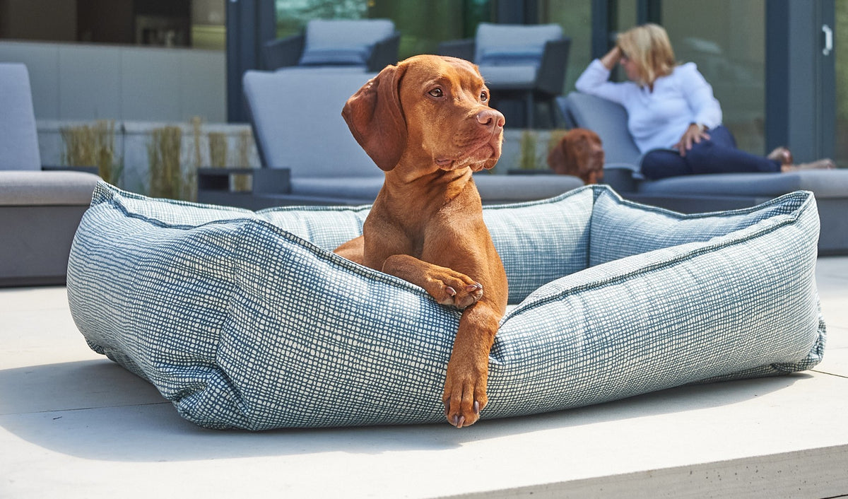 Urban Lounger orthopedic dog bed in Hampton, shown with a dog in a modern living room.