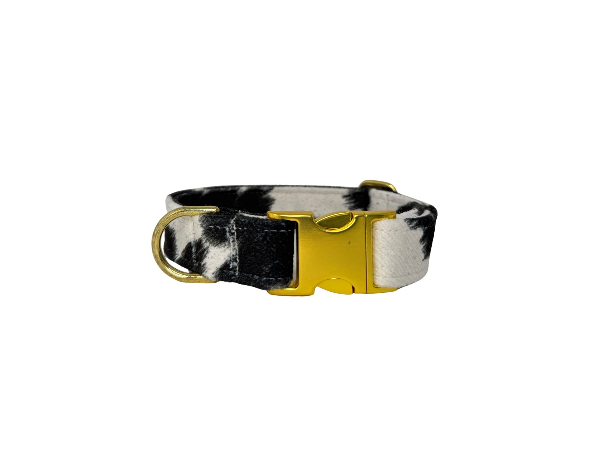 Designer Buckle Collar