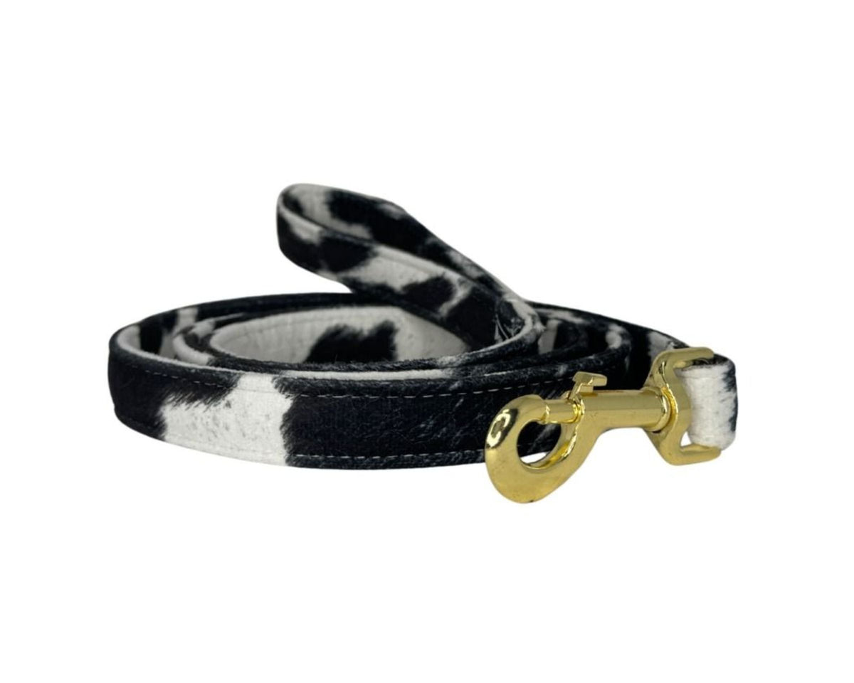 Designer Leash in Wrangler