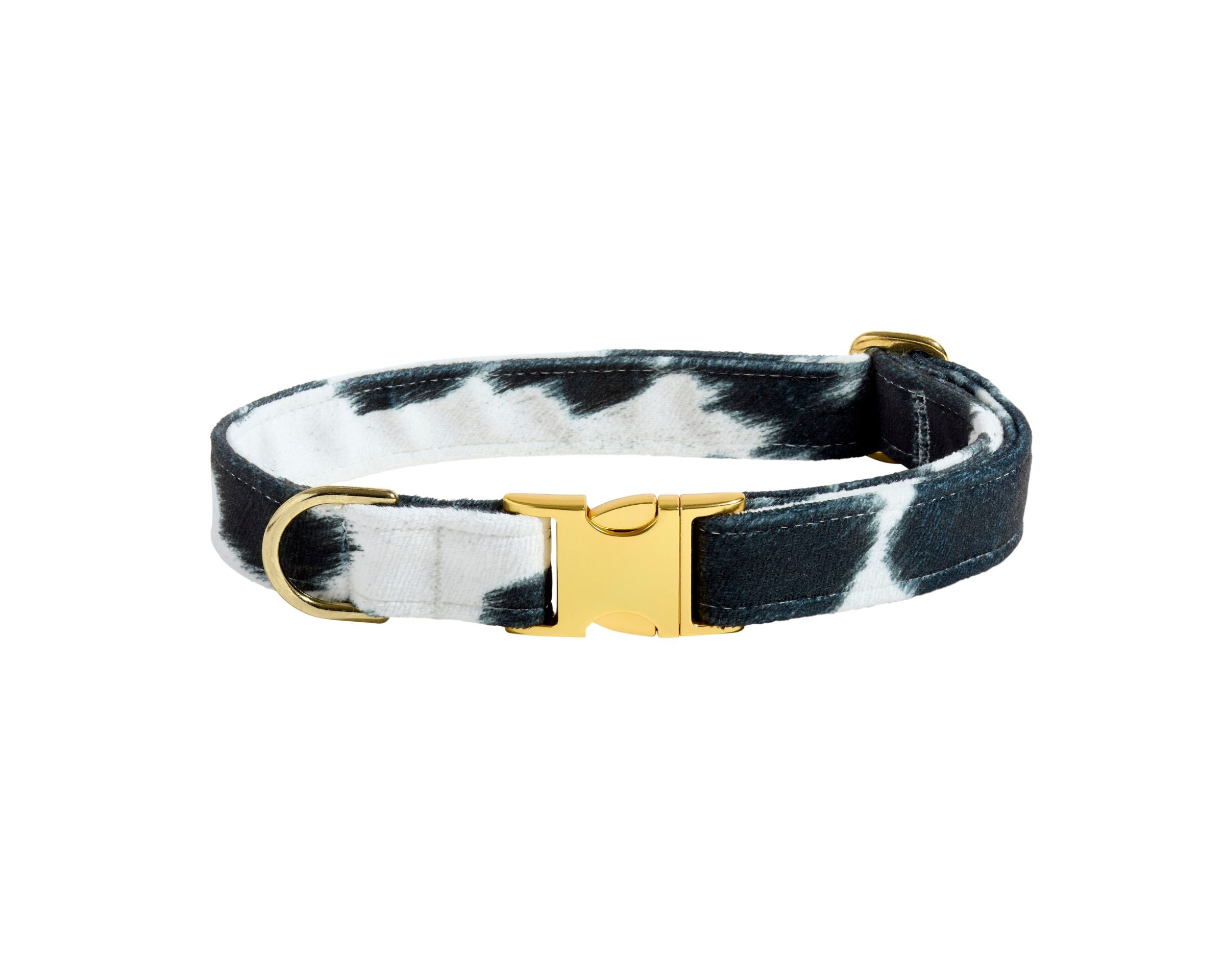 Designer Buckle Collar
