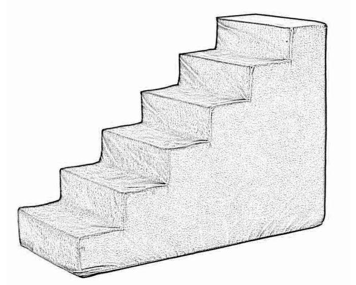 6 STEP Cover