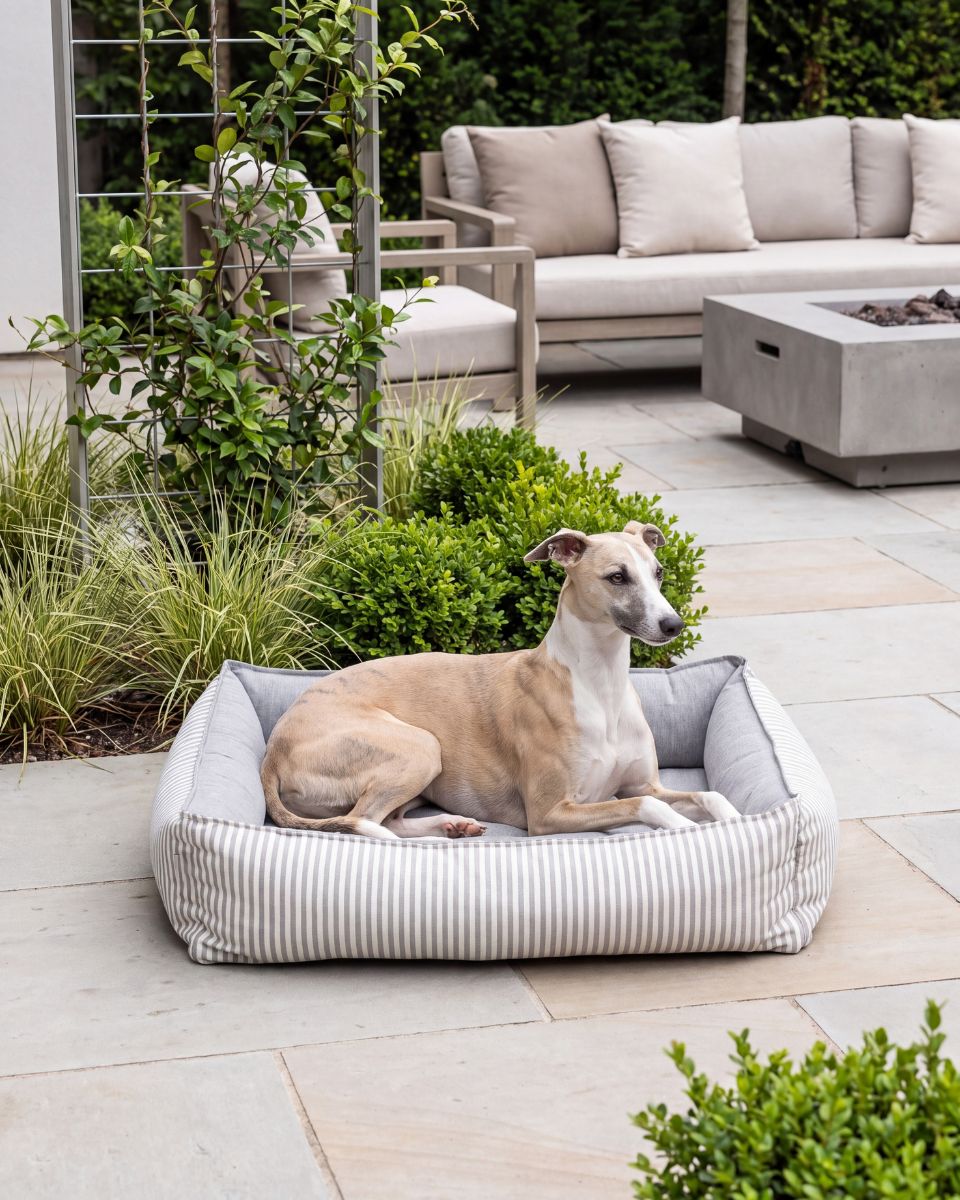 Bowsers Pet Products | Home Page
